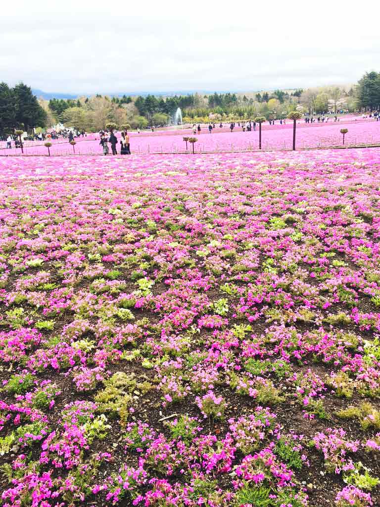 官民連携事業・その他3